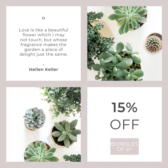 Ariat Women's Larson Embroidered Sweatshirt, Large - Picture 10 of 11